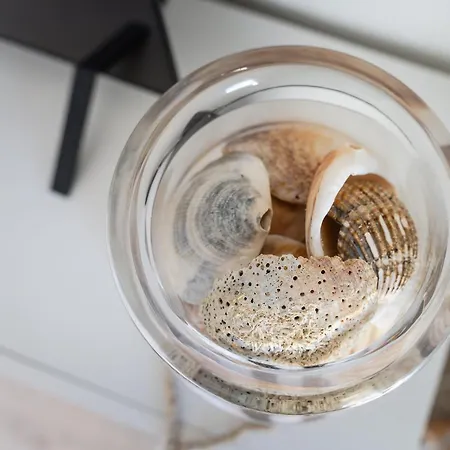 Belharucas * البوفيرا