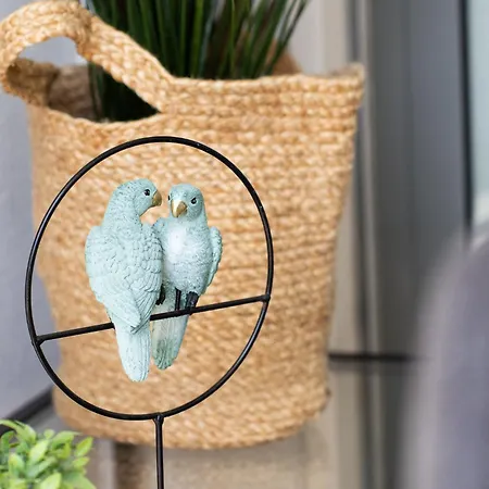 Belharucas * البوفيرا