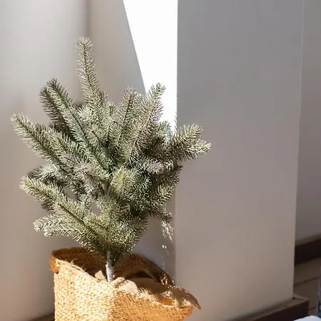 Belharucas Appartement *