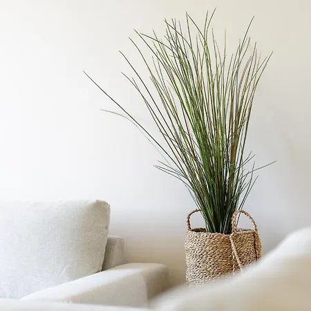 Belharucas Albufeira