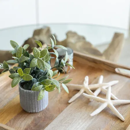 Belharucas Albufeira